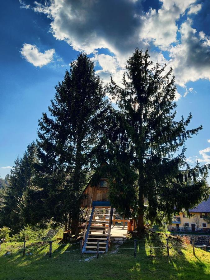 Zen Among The Trees Holiday home Stahovica